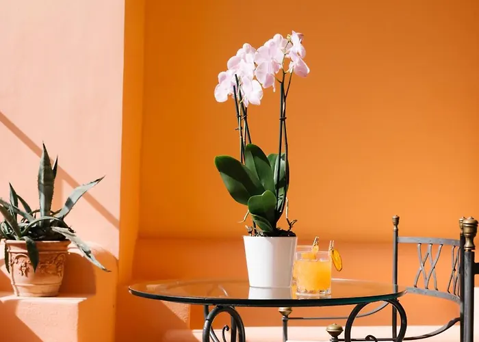 普林奇比乔瓦尼别墅酒店 波西塔諾